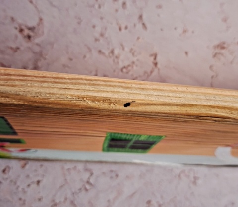 Deska Retro Anioł w makach nr 8 dł.40cm x szer.12 cm