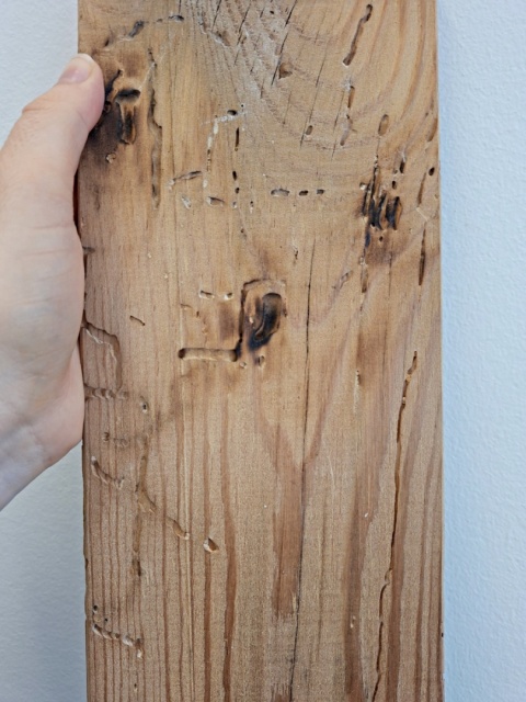 Deska Retro Anioł wiosenny dł. 40cmxszer.12cm